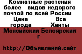 Комнатные растения более200видов недорого почтой по всей России › Цена ­ 100-500 - Все города  »    . Ханты-Мансийский,Белоярский г.